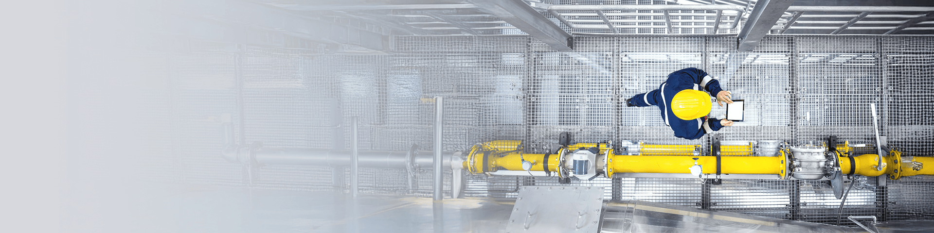 Assessment & advisory