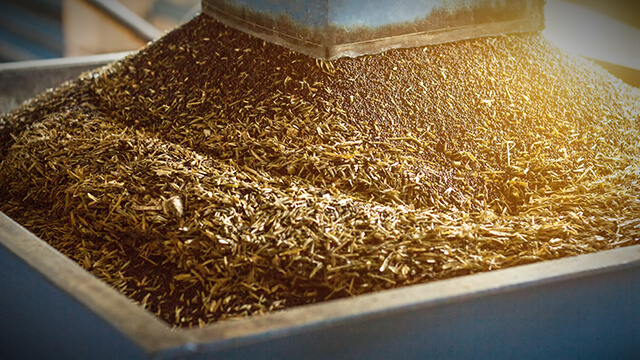 Production of rapeseed oil canola oil