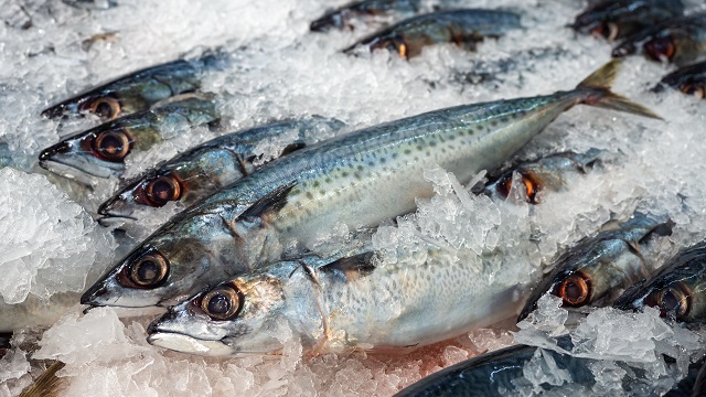 Saba fish arrange in ice 640x360