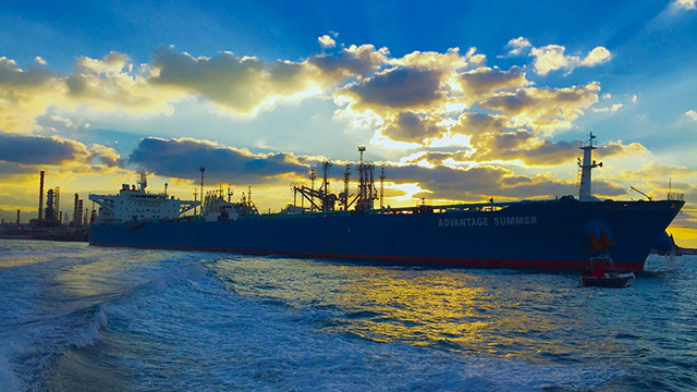 Vessel Advantage Summer