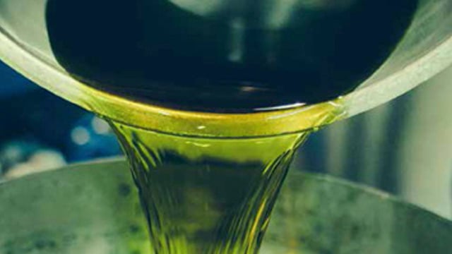 citrus essence story 640x360